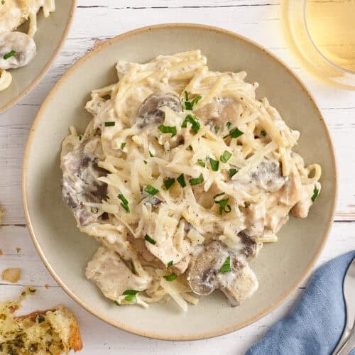 Overhead view of crockpot chicken tetrazzini on a plate.